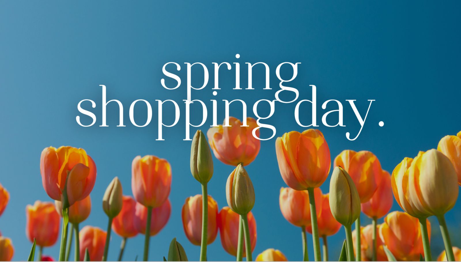 B92aed5d 2e52 44a8 Be76 1c15ab4fd6af