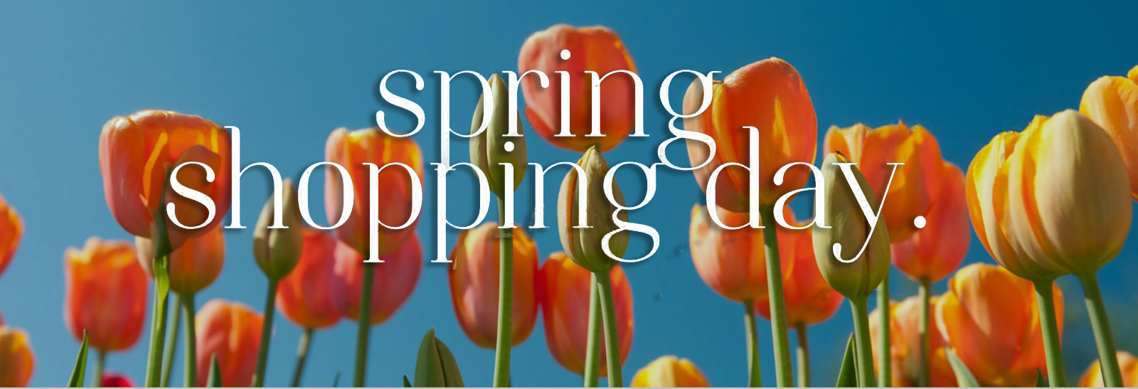 Ready for the switch